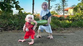 Bibi and Lala Bibi enlisting helps Mom harvest gourd to feed Mom cook!