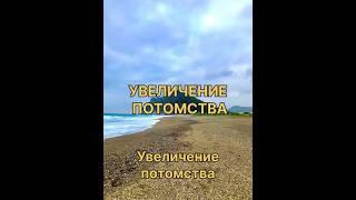 Увеличение потомства