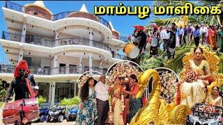 பல கோடி செலவில் யாழில் முதலீடு! லண்டன் அண்ணாவின் பிரம்மாண்ட கொண்டாட்டம் Alasteen Rock | Jaffna