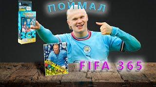 fifa 365 Panini ПОЙМАЛ Холланда!