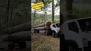 Lintas jalur tanjakan dengan muatan berat #shorts #rc #trukoleng #mobilmainan #mobilmobilan #truk