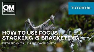 Tutorial: How to use Focus Stacking & Bracketing on the OM SYSTEM cameras