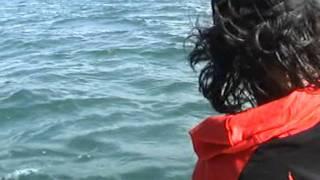 TCE TACKLES Pro Fishing Team