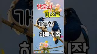 하루 시작을 황금기운의 충전소에서 시작하세요~ #행운 #기적 #소원 #소원성취 #로또 #로또당첨 #소망 #끌어당김 #황금기운의충전소 #긍정확언 #성공비결 #성공 #부자
