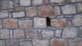 The technology of masonry is well processed stone