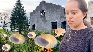 FILIPINA BRITISH LIFE IN UK: MUSHROOM SA HARAP NG BAHAY! PARANG PRONBINSYA LANG