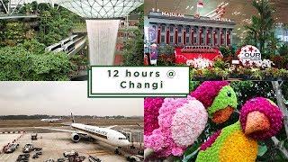 12 Hours at Changi ️  Explore Jewel, Food, Lounge & YotelAir