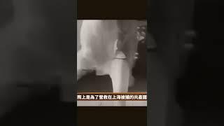 為中共發揮特殊作用｜ #百年真相