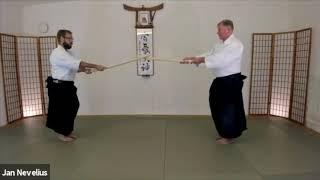 NOLA Aikido Presents: Jan Nevelius Shihan - Kashima-Inspired Kenjutsu Work, Third Series (1/3)