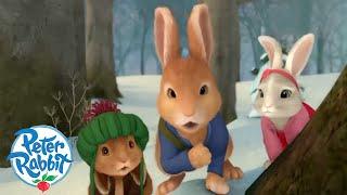 @OfficialPeterRabbit - Three Mischievous Rabbits | 1 hour+ of Adventures! | Cartoons for Kids