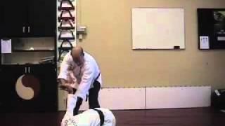 Steve Sexton demonstrating Hapkido Front Headlock Defenses #1