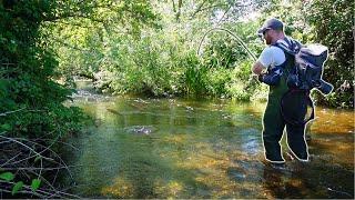 I Found a Forgotten River STACKED With Big Fish!