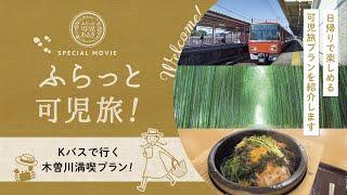 周遊動画