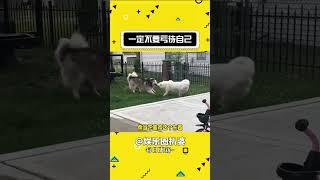 你不舍的用的东西，总会有人替你用#人生哲理 #不内耗#shorts