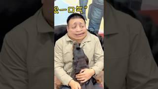 [向威和一坨往期视频回顾]你可以永远相信小狗的爱是热烈且真诚的 #罗威纳护卫犬 #罗威纳 #一坨 #rottweiler #rottweilerpuppy #向威和一坨 #老友狗狗 #pets #萌宠