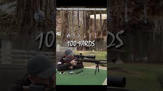 22LR VS 1/4" TARGET 100 YARDS @Dayattherange