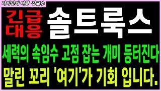 [솔트룩스 주가전망 ] 세력의 속임수 고점 잡는 개미등 터진다! 말린 꼬리 '여기가' 기회 입니다.