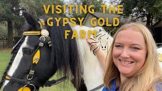 Gypsy Gold Farm Tour