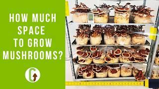 How Much Space Do You REALLY Need to Grow Mushrooms?