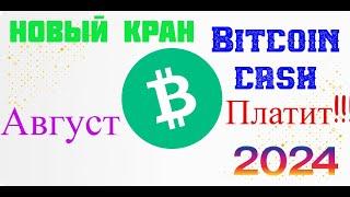 Новый кран Bitcoin Cash платит!!!