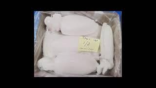 Cuttlefish WC