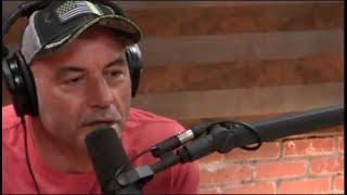 Joe Rogan - Jiu Jitsu is the Truest Martial Art