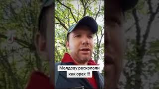 Молдову расколол референдум #молдова #референдум #выборы