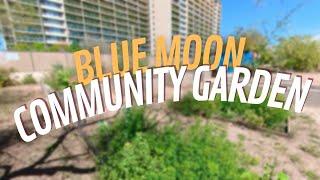 Blue Moon Community Garden