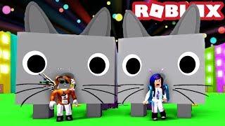 2 GIANT CATS ON THE DOMINUS CHEST!  | Roblox Pet Simulator