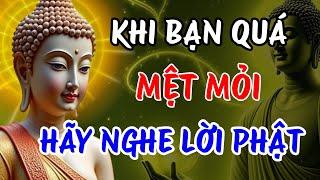 Khi Mọi Thứ Chống Lại Bạn - Ngồi Xuống và Nghe Lời Phật Dạy