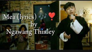 Mea (lyrics) ️  by @Ngawang Thinley