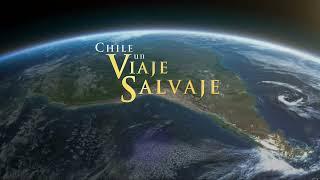 Chile- Un viaje salvaje