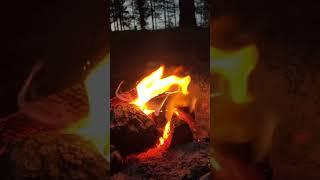 Соло мото-кемпинг за 50 секунд #asmr #асмр #кемпинг #солокемпинг #мотоцикл #relax