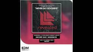 Hardwell & Dyro, Bright Lights - Never Say Goodbye (R&P-X & Sacred One’s Festival Mix) [Free Dl]