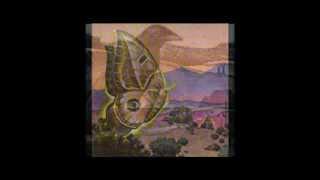 Vision of the Nagual