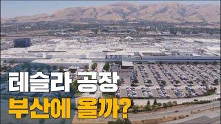 한 해 2백만대 생산, 테슬라 공장 부산 유치 가능할까? Tesla