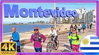 【4K】WALK Rambla Montevideo Uruguay 2019 UY walking tour 4k