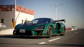 The McLaren Senna and Flamingos – A Perfect Blend of Elegance and Speed