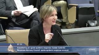 Cara Schulz City Council Burnsville Opposition testimony to Bill sf 751