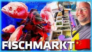 Der verrückteste Fischmarkt der Welt!