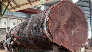 The most expensive and largest wood in the world! Price 3 billion Antique wood from madiun sawmill