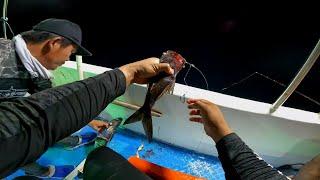 JIGGING & BOTTOM FISHING ️️ ONE CAST ONE STRIKE️