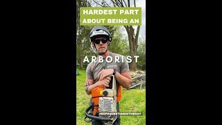 Hardest part about being an arborist and tree surgeon | arborist gear  #arborist #shorts #rope