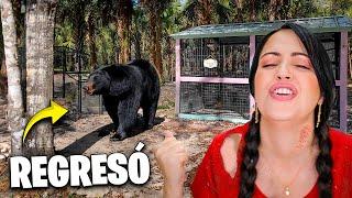 REGRESA EL OSO y ME CAIGO  Sucede de TODO en La Finquita Bonita  Sandra Cires Vlog