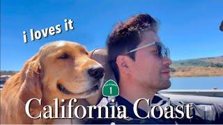  MY DOG’s WEST COAST Road Trip: Highway 1 | Tomales Bay | NAPA | GOLDEN GATE Bridge | San Fran