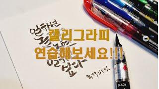 캘리그라피 글씨체 붓펜 추천 시작하세요!!!