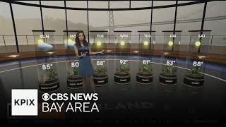 First Alert Weather Sunday morning forecast 6-15-25