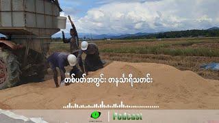 တစ်ပတ်အတွင်း တနင်္သာရီသတင်း