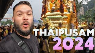 Thaipusam 2024 at the Batu Caves  | These monkeys are SCARY!