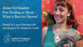 Avian Vet Insider 19: Free Feeding or Meals — What is Best for Parrots?